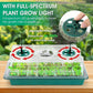 💎50% RABATT! 💎 Groningsbrickor med odlingsljus – Fuktighetskontroll, transparent och fullspektrumljus 🌱💡