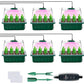 💎50% RABATT! 💎 Groningsbrickor med odlingsljus – Fuktighetskontroll, transparent och fullspektrumljus 🌱💡