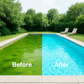 Poolreningslösning – kristallklart vatten, snabb bakterie- & algeliminering 💧🏊